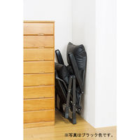 ファミリー・ライフ くつろぎのリクライニングアームチェアDX グリーン 1脚（直送品）