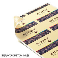 サンワサプライ レーザープリンタ用IDカード LBP-ID01 2セット（直送品）