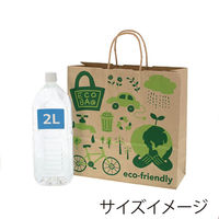 シモジマ 【ケース販売】HEIKO 紙袋 25チャームバッグ 3才 エコライナーアース 003261512（直送品）