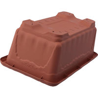 アップルウェアー クイーンワイド 600型 4905980113527 1個（直送品）