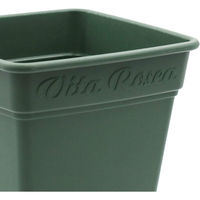 アップルウェアー ロゼアスクエア 330型 4905980312142 1個