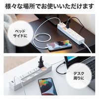 延長コード 電源タップ 2m 2P（ピン） 4個口 シャッター ホワイト TAP-B102UC-2W サンワサプライ 1本