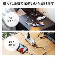 延長コード 電源タップ 2m 2P（ピン） 2個口 シャッター ホワイト TAP-B101UC-2W サンワサプライ 1本