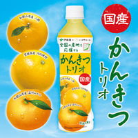 伊藤園 かんきつトリオ 国産 400g ニッポンエール ペットボトル 1箱（24本入）