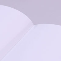 Neschen フィルムルックス 609 2cm幅×50m巻 FLS-403 1巻