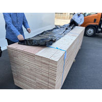 紅中 角型養生シート(PE) Qboid-sheet 3×10尺・高さ1m用 黒色 1袋(20枚入)（直送品）