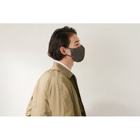 アイリスオーヤマ DAILY FIT MASK 立体 ふつう 5枚入 スモーキーブラウン RK-F5SXT 1パック（直送品）