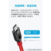 Anker USB Type-Cケーブル 1.8m 高耐久 PowerLine+ USB3.0 レッド A8169091 1本