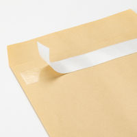 現場のチカラ エコノミータイプ 一般用両面テープ 簡易包装 幅20mm×長さ50m アスクル 1箱（15巻入）  オリジナル