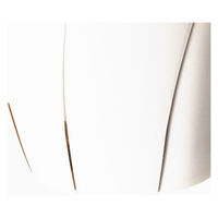 大和プラスチック 根はり鉢 8号 ホワイト 4.8L