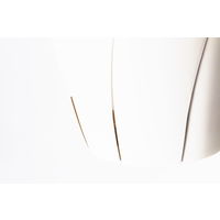 大和プラスチック 根はり鉢 5号 ホワイト 1.0L