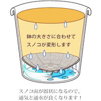 アップルウェアーピタッとスノコ 23型2枚組 ブラック 234mmΦ 適応鉢7～9号 鉢用すのこ
