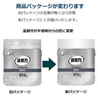 エステーPRO 消臭力 業務用ビーズタイプ 大容量 本体 850g 無香料 5個