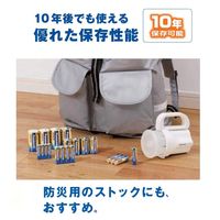 パナソニック（Panasonic） アルカリ乾電池エボルタ（EVOLTA）　単2形　4本パック LR14EJ/4SW 20本