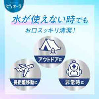 【口腔ケアウェットシート】 ピュオーラ 歯みがきシート クリーンミント 1セット（15枚入×3個） 花王 口臭予防