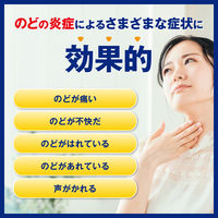 ヴイックス メディケイテッドドロップ 抹茶 20個入 2箱セット 大正製薬 ヴィックス