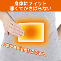 貼る カイロ 1個（60枚入） レギュラーサイズ エステー  オリジナル（わけあり品）