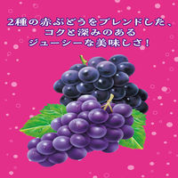伊藤園 2種のこだわり ぶどうスカッシュ 450ml 1セット（48本）