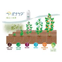 ハイポネックスジャパン ハイポネックス パナケア MA Original 1L 2057874 1本