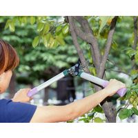 マック MAC ED-32 太枝切鋏 ギアパワー・ミニ　1本（直送品）