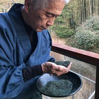 シオノケミカル ひざ楽茶 1箱 30袋入り a29458 1個（30袋入り）（直送品）