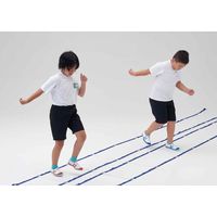 淡野製作所 ラダーL550 (2本1組) 幅42cm×長さ5.5m D5307 1個