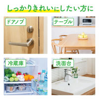 ウェットティッシュ 除菌シート スコッティ 紙100％のウェットシート アルコール除菌 日本製紙クレシア（100枚入×3個）