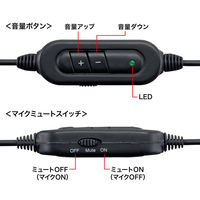 サンワサプライ USBヘッドセット(シルバー) MM-HSUSB16SVN 1個（直送品）