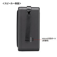 サンワサプライ ワイヤレスポータブル拡声器 MM-SPAMP15 1個（直送品）