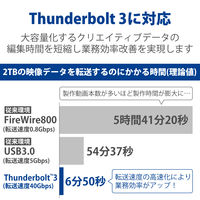 HDD 外付け 16TB 据え置き 5年保証 1big Dock STHS16000800 LaCie 1個