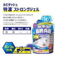 リベルタ カビダッシュ 特濃ストロングジェルR 500ML 886036 1ケース(500ML×24個)（直送品）