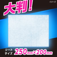 メンズビオレ ボディシート 超洗浄タイプ ほのかなシトラスの香り 28枚入 花王