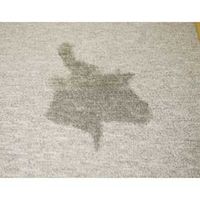 三和製作所 嘔吐物凝固剤 サンワスピードフリーズ300g 101-336 5本