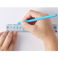 レイメイ藤井 再生PET定規 すべり止め付き 30cm APJ257 5本