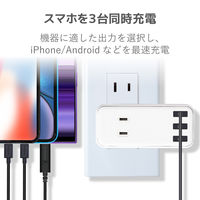 電源タップ コンセント 2個口 USB Aポート×3 ほこりシャッター 白 ECT-03WH エレコム 5個（直送品）