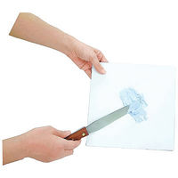 大同化工 ペーパー軟膏板 ねりサット クラフト紙（両面ラミネート加工） PN-22 1セット（250枚：50枚入×5）（直送品）