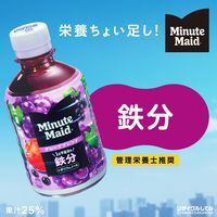 コカ・コーラ ミニッツメイド ぎゅっ！とフルーツ グレープブレンド 鉄分 280ml 1セット（48本）