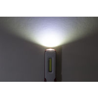 ワークライト Ganz LED UVライト ハンディタイプ USB充電式 120ルーメン 実用点灯2.5時間 1個 ジェントス