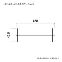 ストア・エキスプレス オーバーハングタイプ ハンガーラック W120cm 丸パイプ　ブラック 2160-246 1台（直送品）