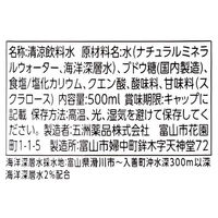 アスクル限定 五洲薬品 はたらくひとの補水液 500ml 1箱（24本入）  オリジナル（わけあり品）