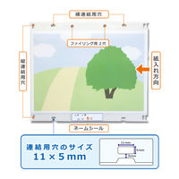 ビュートン 高透明掲示ホルダー「みてね」 KGH-4G-W10 1セット(3パック)