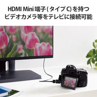 HDMI変換アダプタ AF-CM(mini) 4K 60P スリムコネクタ ブラック AD-HDACS3BK エレコム 1個