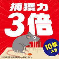 アース製薬 アースガーデン ネズミ専用立入禁止 エサ付き粘着シート 1箱（10セット入） 922300