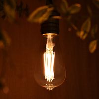 オーム電機 LEDゴールド球 6W E26 LL色 06-3895 1個