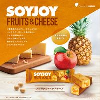 ソイジョイ　フルーツ＆ベイクドチーズ　1セット（48本）　栄養食品　低GI食品　大塚製薬