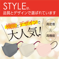 STYLEマスク バイカラー グレー×バーガンディ　シンズ 個包装 カラーマスク　使い捨て　不織布　3D　ダイヤモンド型　立体　1袋（5枚入）