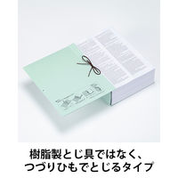 コクヨ アスクル 共同企画 背幅伸縮ファイル PPラミネート つづりひもタイプ A4タテ 9冊 オリジナル