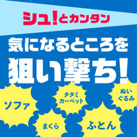 ダニアーススプレー 速乾 ダニ駆除剤 ダニ用殺虫スプレー ふんわりソープの香り 300ml 1個 アース製薬