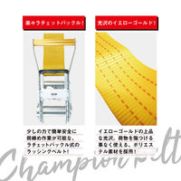 ヨロスト ラッシングベルト 【レール 2T×8M】(固1M+巻7M) 142070 0001 10本（直送品）