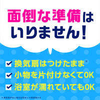 カビ防止 スプレー お風呂掃除 らくハピ お風呂カビーヌ無煙プッシュ フレッシュソープの香り 4ヵ月分 1個 防カビ カビ対策 予防 浴室 アース製薬